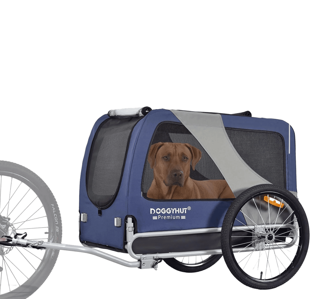 Ein brauner Hund sitzt in einem blauen Doggyhut Premium-Fahrradanhänger für Haustiere mit Netzfenstern und zwei großen Rädern.