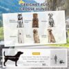 PawHut 2-in-1 Hunde‑Fahrradanhänger, 30 kg, Reflektoren, Oxford‑Gewebe, Blau